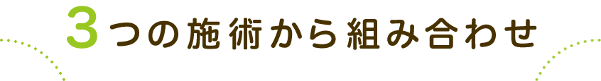 整体・マッサージ、鍼、灸の3つの施術から組み合わせ