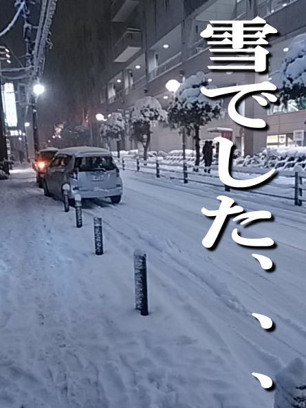 yuki