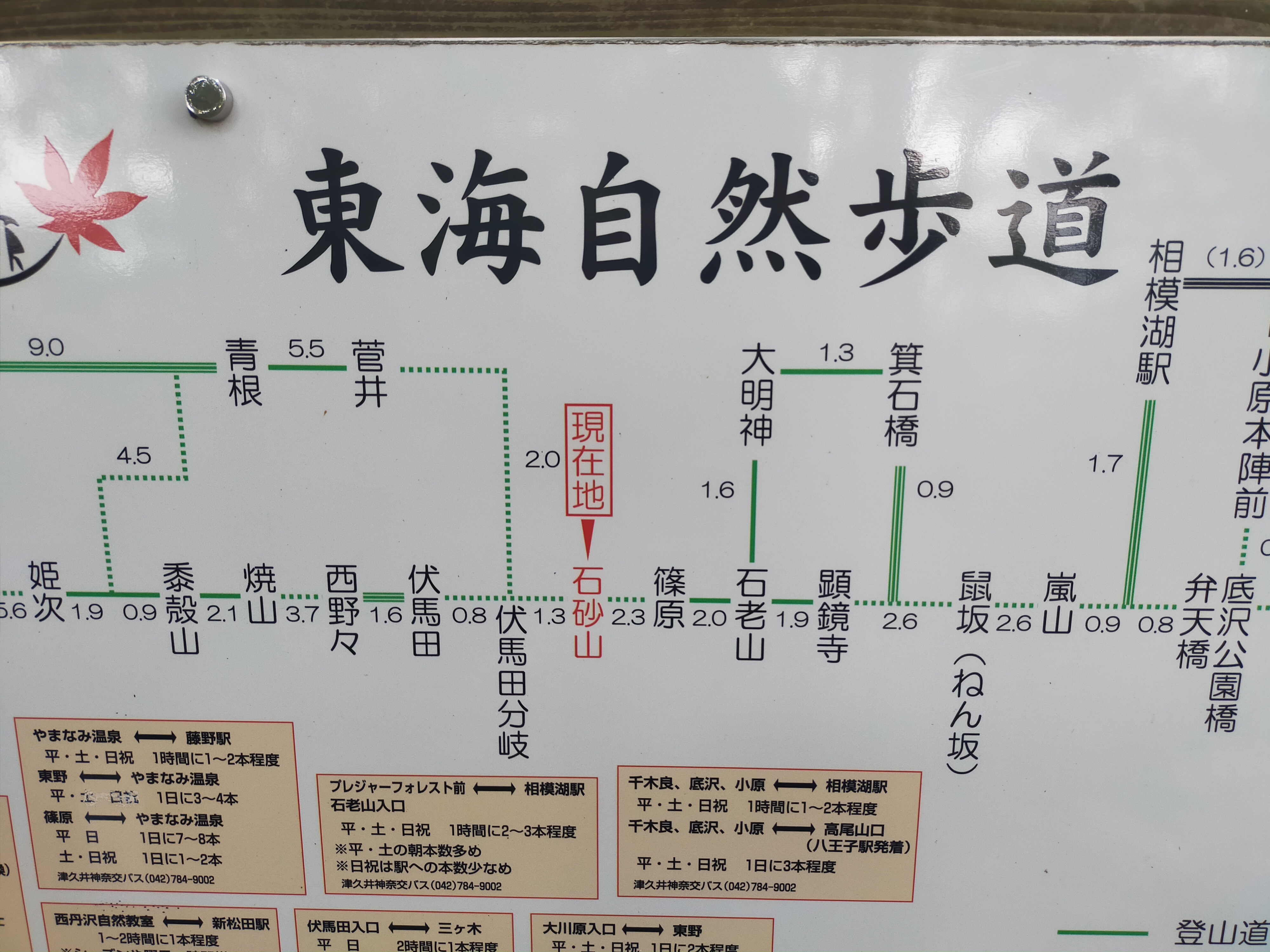 250706